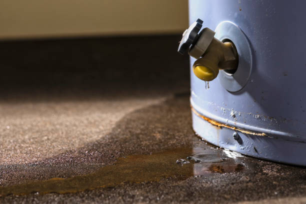 Best Water damage repair service  in College Place, WA