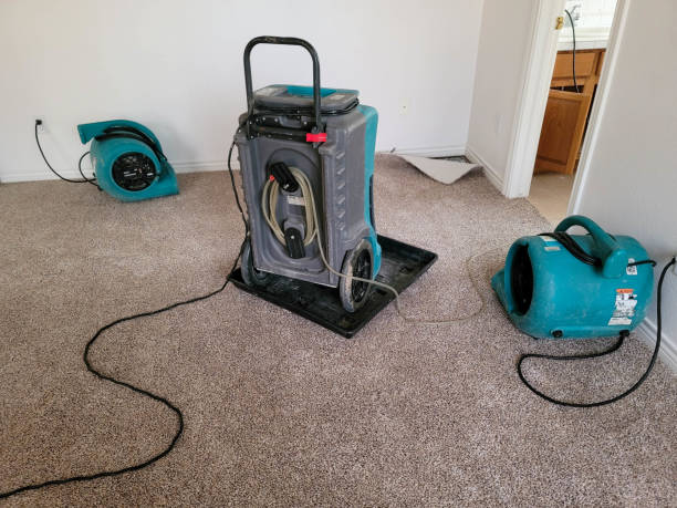 Best 24-hour water damage restoration  in College Place, WA
