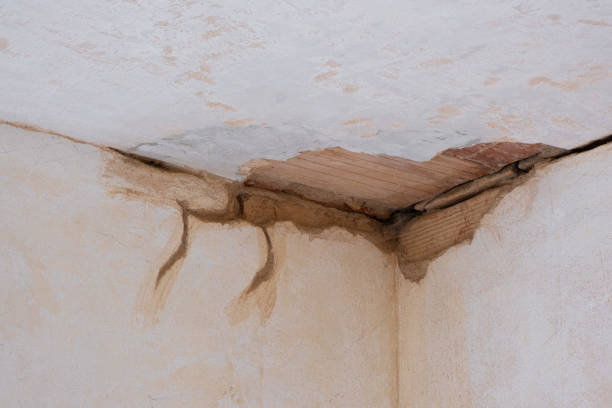 Best Fire Damage Restoration  in College Place, WA