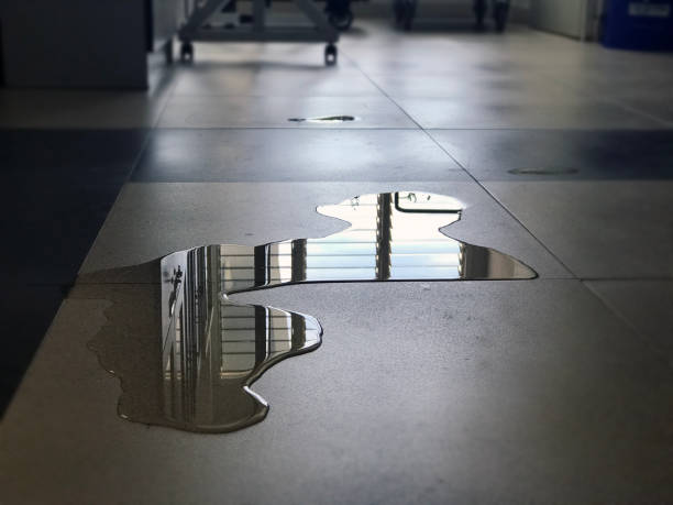 Best Water damage restoration near me  in College Place, WA