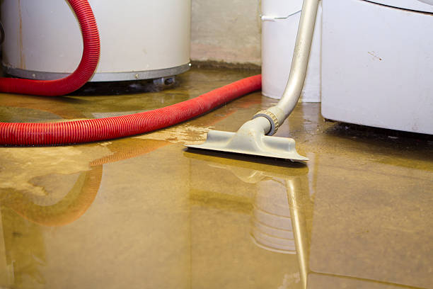 Best Professional water damage repair  in College Place, WA