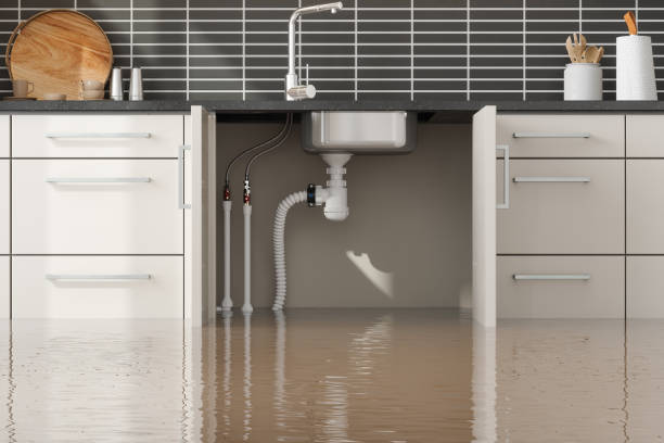 Best Flooded house restoration  in College Place, WA
