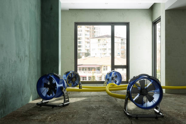 Best Water damage contractors near me  in College Place, WA