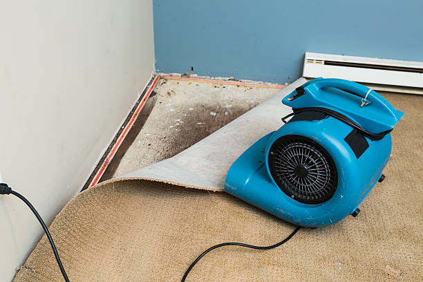 24/7 water damage repair in College Place, WA